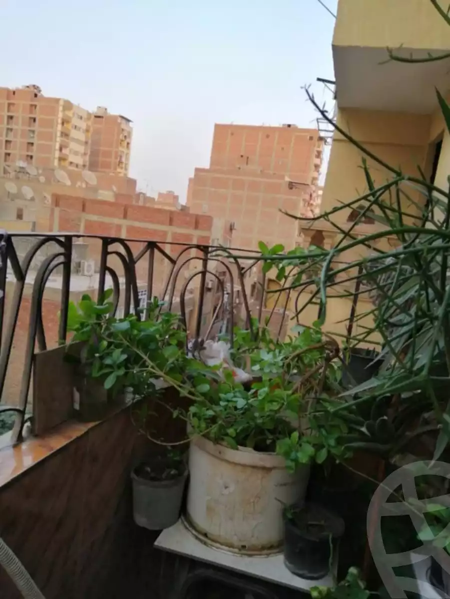 https://aqarmap.com.eg/en/listing/6168803-for-sale-cairo-el-zaytun-lzytwn-lshrqy-toman-bai-st