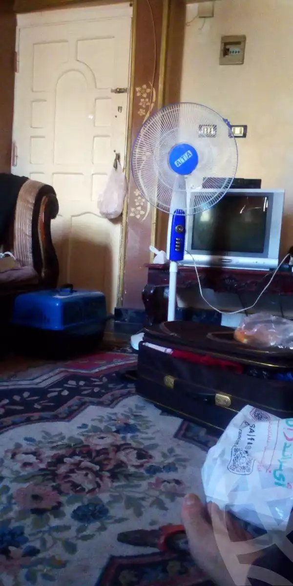 https://aqarmap.com.eg/en/listing/6169434-for-rent-alexandria-el-asafra-l-sfr-qbly