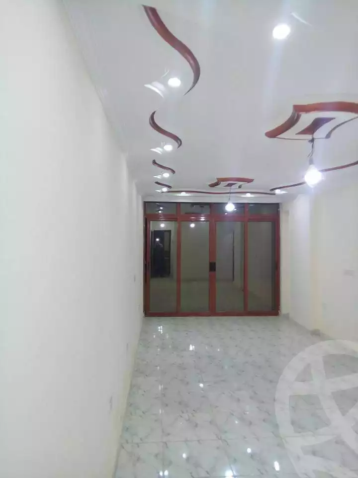 https://aqarmap.com.eg/en/listing/6169478-for-rent-cairo-faisal