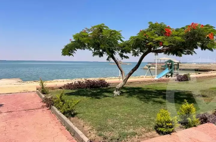 https://aqarmap.com.eg/en/listing/6171019-for-rent-ismailia-fayed