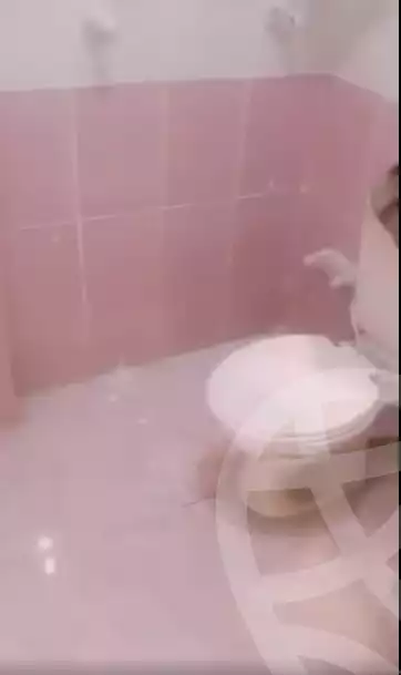 https://aqarmap.com.eg/en/listing/6171022-for-sale-alexandria-l-jmy-el-hanouvel
