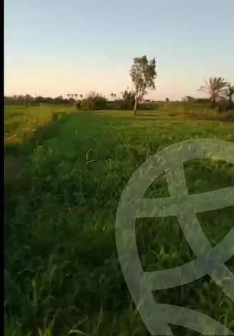 https://aqarmap.com.eg/en/listing/6174976-for-sale-damietta-mdyn-dmyt-el-gawahrh