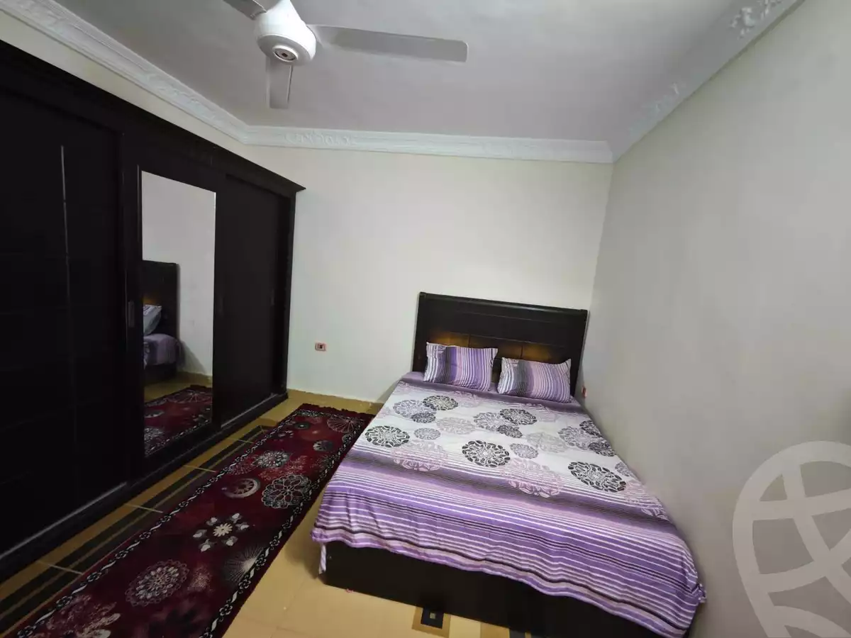 https://aqarmap.com.eg/en/listing/6176376-for-rent-cairo-faisal-tareeq-kaabesh