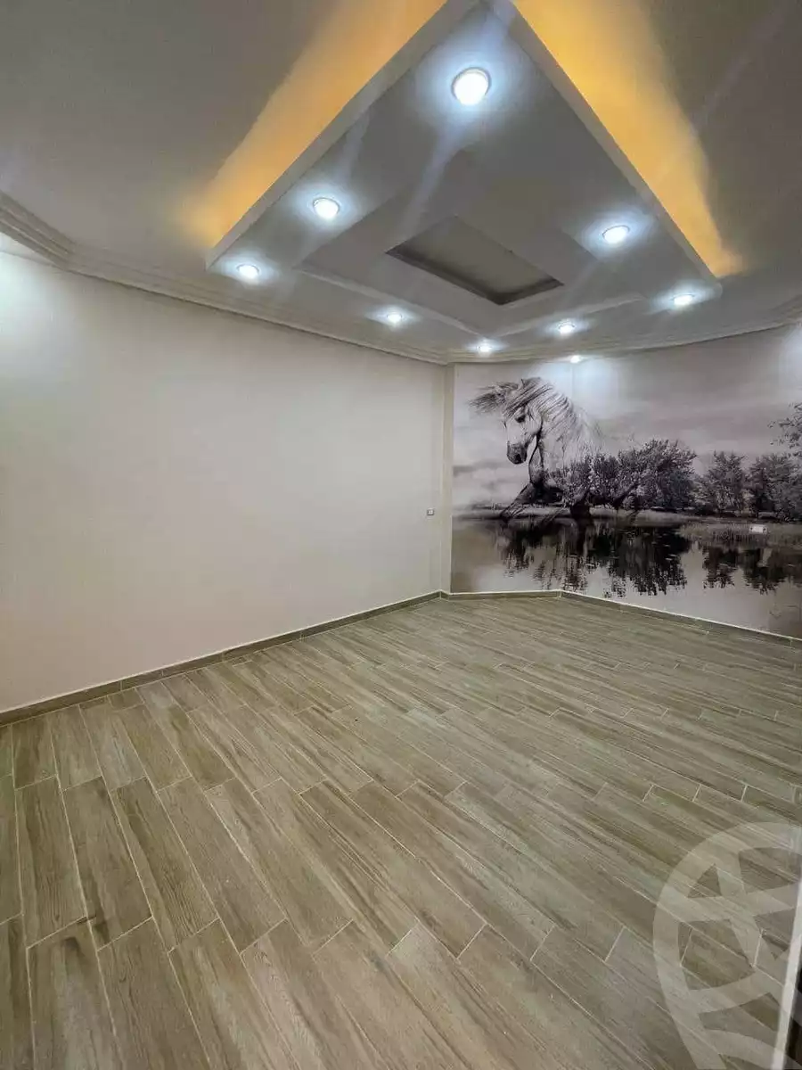 https://aqarmap.com.eg/en/listing/6178555-for-sale-cairo-el-haram-el-lebeny