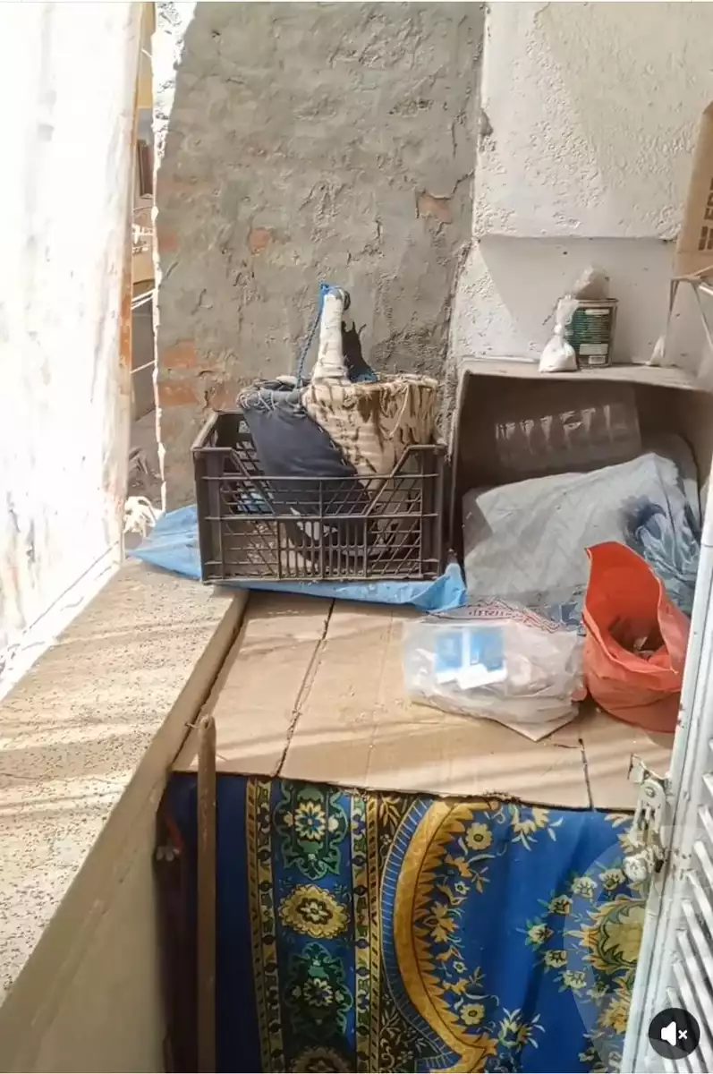 https://aqarmap.com.eg/ar/listing/6188601-for-sale-alexandria-l-jmy-el-hanouvel-al-komi-st-el-hanouvel
