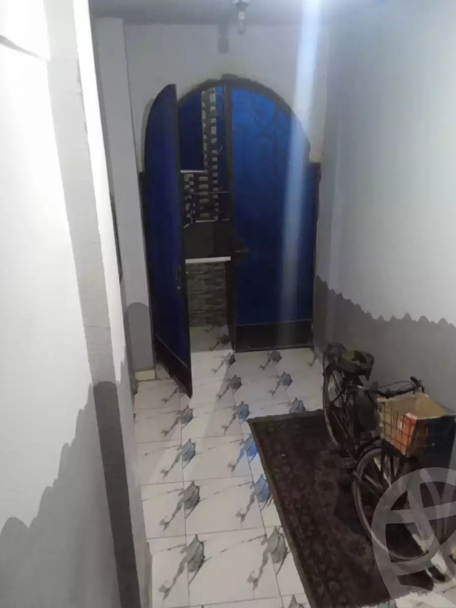 https://aqarmap.com.eg/en/listing/6190766-for-sale-dakahlia-mit-ghamr-awlela