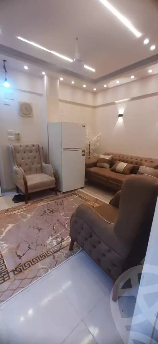 https://aqarmap.com.eg/en/listing/6193894-for-rent-cairo-manial-manial-st