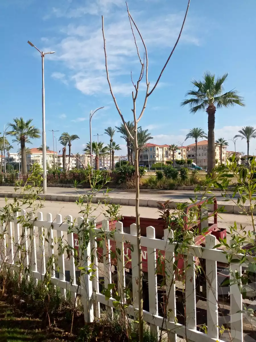 https://aqarmap.com.eg/ar/listing/6202615-for-sale-damietta-ras-el-bar-ras-el-bar-city