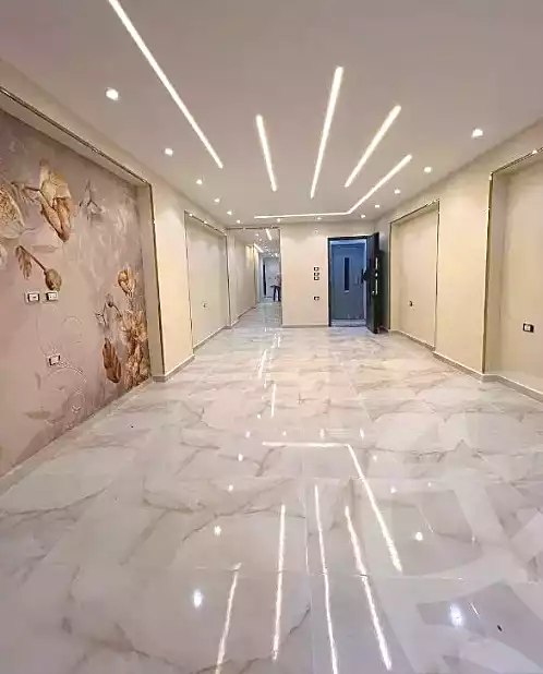 https://aqarmap.com.eg/en/listing/6202869-for-sale-cairo-faisal-el-maryotyah