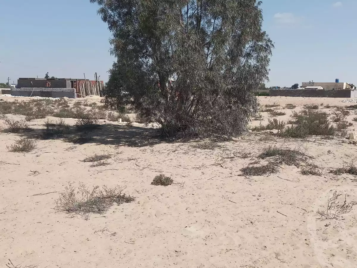 https://aqarmap.com.eg/ar/listing/6206406-for-sale-ismailia-ismailia-city-ismailia-city