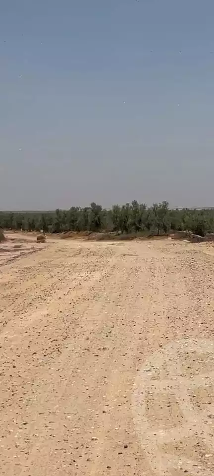 https://aqarmap.com.eg/ar/listing/6213868-for-sale-beheira-wadi-el-natrun