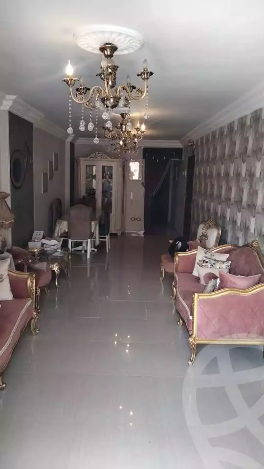 https://aqarmap.com.eg/ar/listing/6220104-for-sale-alexandria-ganaklis