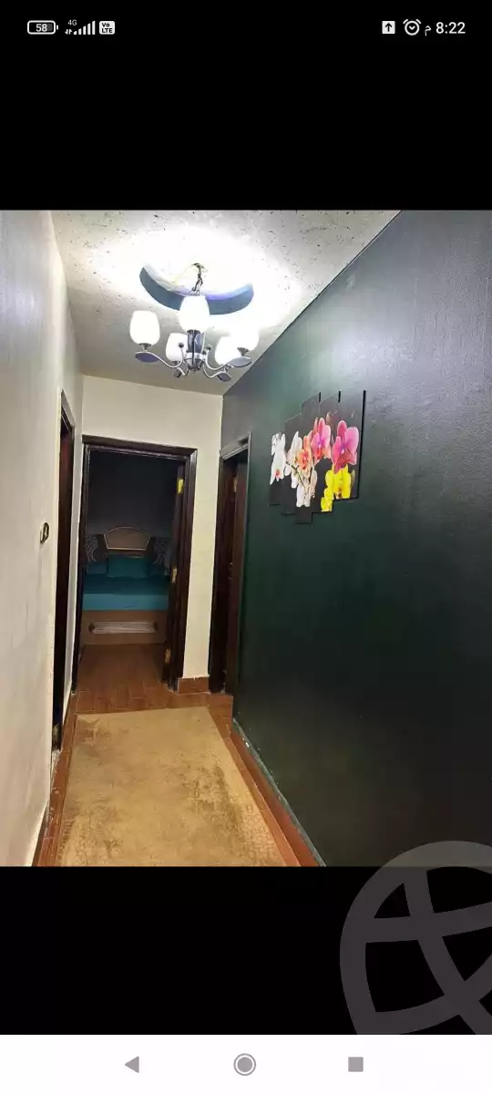 https://aqarmap.com.eg/en/listing/6224575-for-rent-cairo-nasr-city