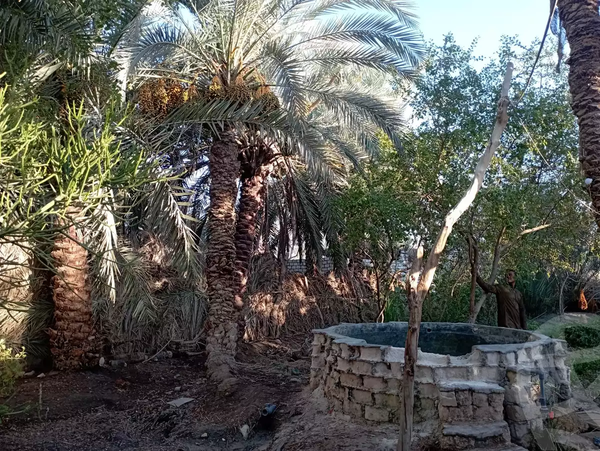 https://aqarmap.com.eg/ar/listing/6231760-for-sale-marsa-matruh-siwa-oasis-wahet-siwaa-city