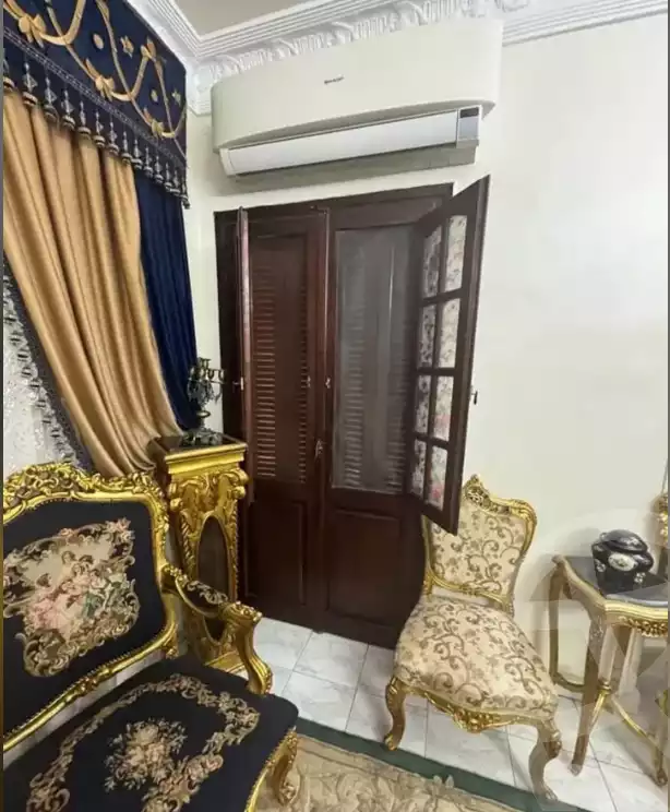 https://aqarmap.com.eg/en/listing/6242406-for-sale-dakahlia-mansoura-el-mansoura-city-el-nakhla-st