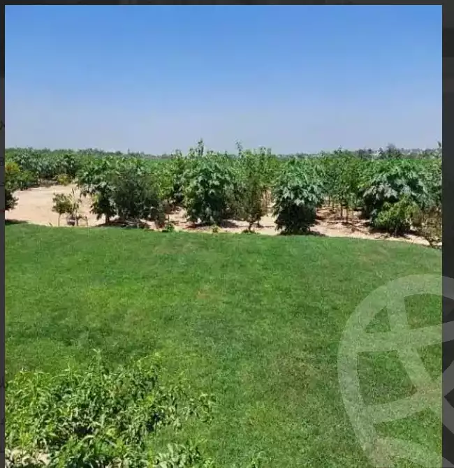 https://aqarmap.com.eg/en/listing/6246927-for-rent-sharqia-bilbeis