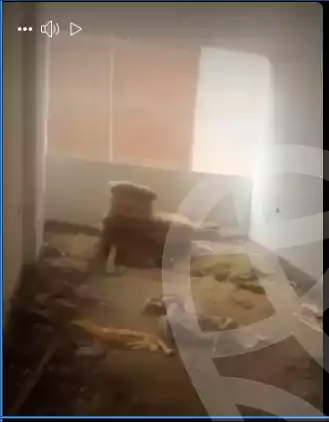 https://aqarmap.com.eg/ar/listing/6250381-for-sale-cairo-faisal-el-tawabeq-el-mansheya-st