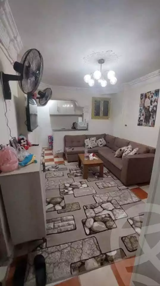 https://aqarmap.com.eg/en/listing/6250824-for-sale-alexandria-bahray-el-anfoshy