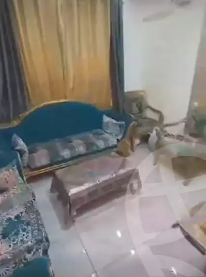 https://aqarmap.com.eg/ar/listing/6256698-for-sale-qalyubia-shubra-el-khaima-om-bayoumi