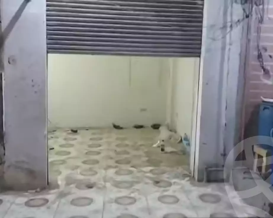 https://aqarmap.com.eg/ar/listing/6256736-for-sale-qalyubia-shubra-el-khaima-shubra-el-khaima-city-teraat-el-shabouri-st