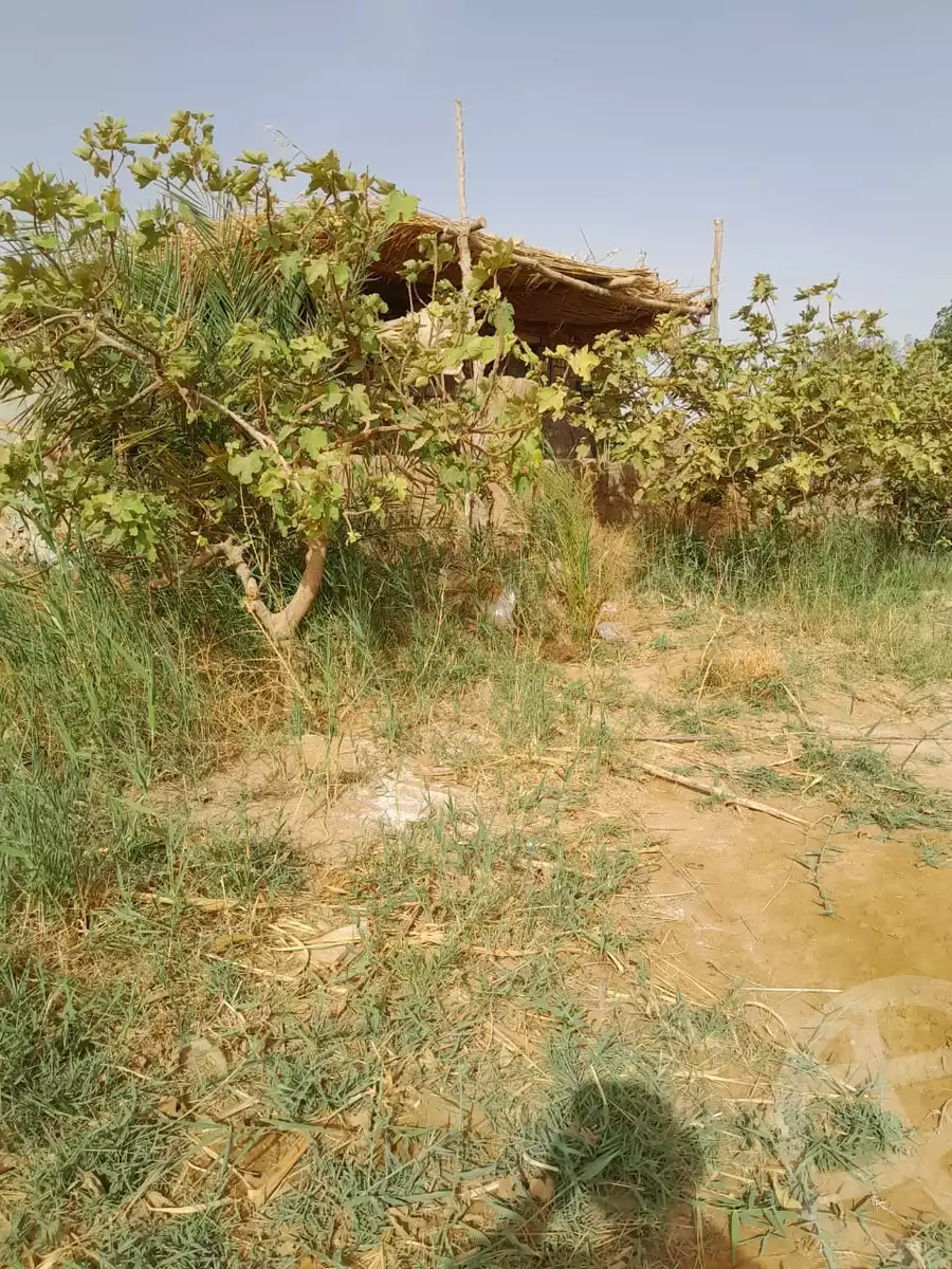https://aqarmap.com.eg/en/listing/6257047-for-sale-cairo-ljyz-bahariya-oasis-mandishah-village