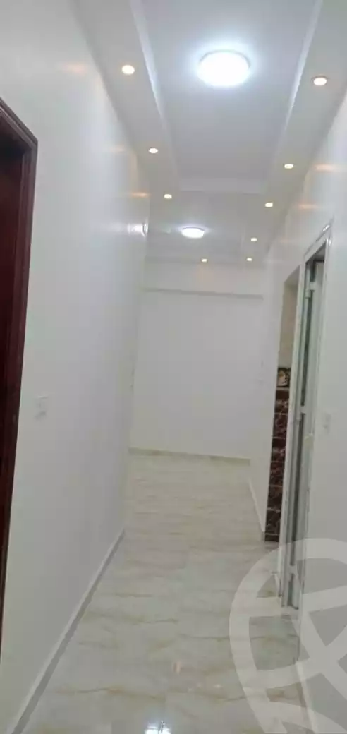 https://aqarmap.com.eg/ar/listing/6260492-for-rent-sohag-sohag-city