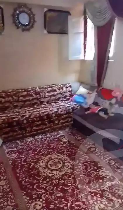 https://aqarmap.com.eg/en/listing/6261578-for-sale-alexandria-bys
