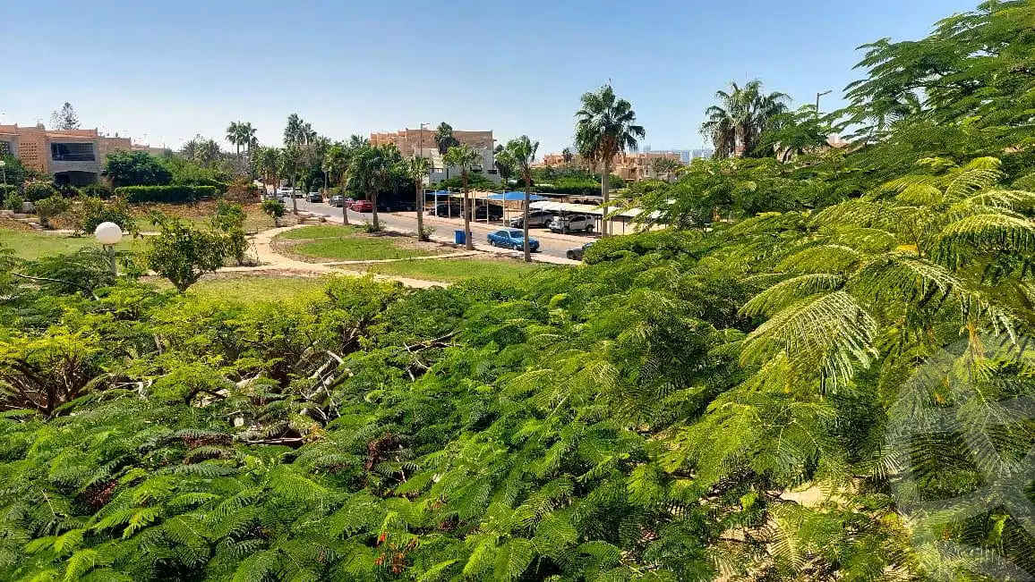 https://aqarmap.com.eg/en/listing/6265365-for-sale-north-coast-resorts-mryn-4