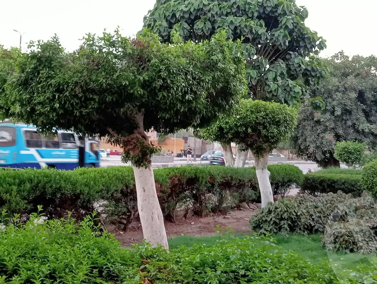 https://aqarmap.com.eg/ar/listing/6266411-for-sale-cairo-shoubra-el-mzalat-saeed-salem-st