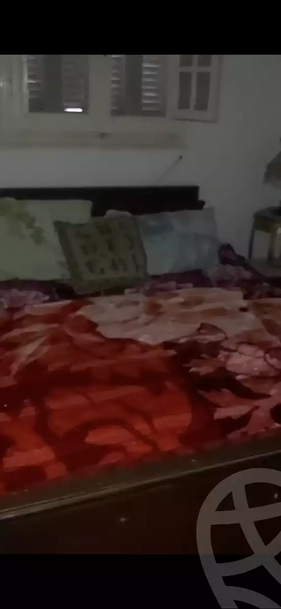 https://aqarmap.com.eg/ar/listing/6269168-for-rent-alexandria-sydy-bshr-sydy-bshr-bhry-ammar-ibn-yasser-st