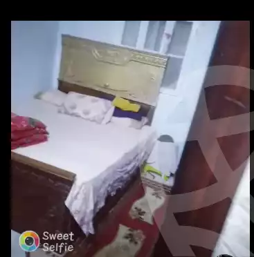 https://aqarmap.com.eg/en/listing/6276280-for-sale-cairo-helwan-helwan-el-sharkeya-latif-basha-st