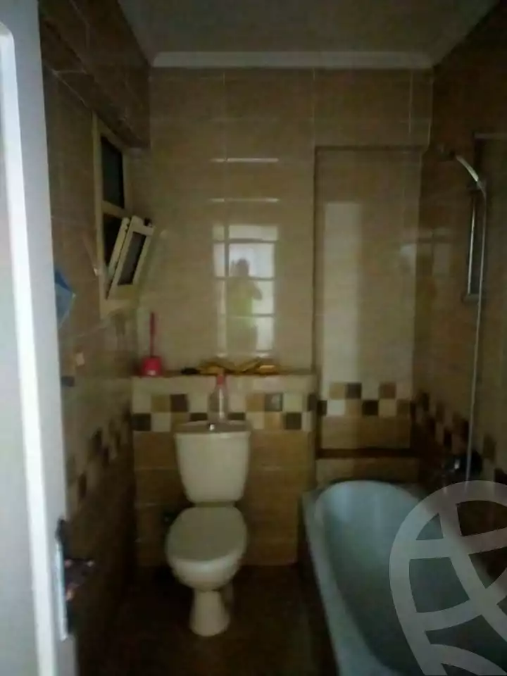 https://aqarmap.com.eg/en/listing/6281557-for-rent-alexandria-ganaklis