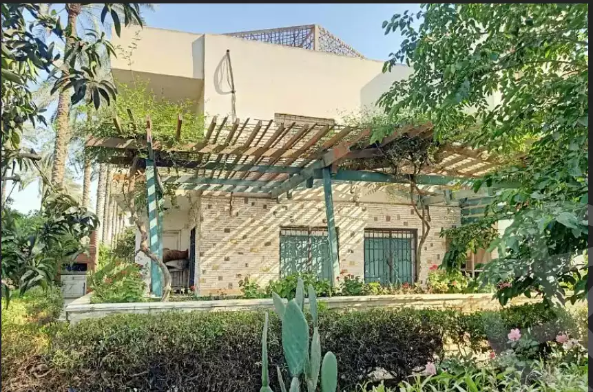 https://aqarmap.com.eg/en/listing/6286049-for-sale-cairo-el-mansuriyyah