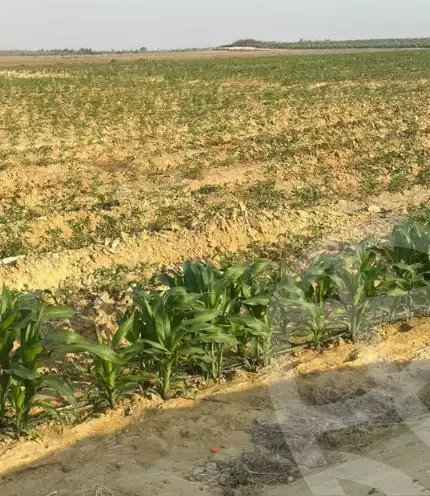 https://aqarmap.com.eg/ar/listing/6292165-for-sale-alexandria-cairo-alexandria-desert-road