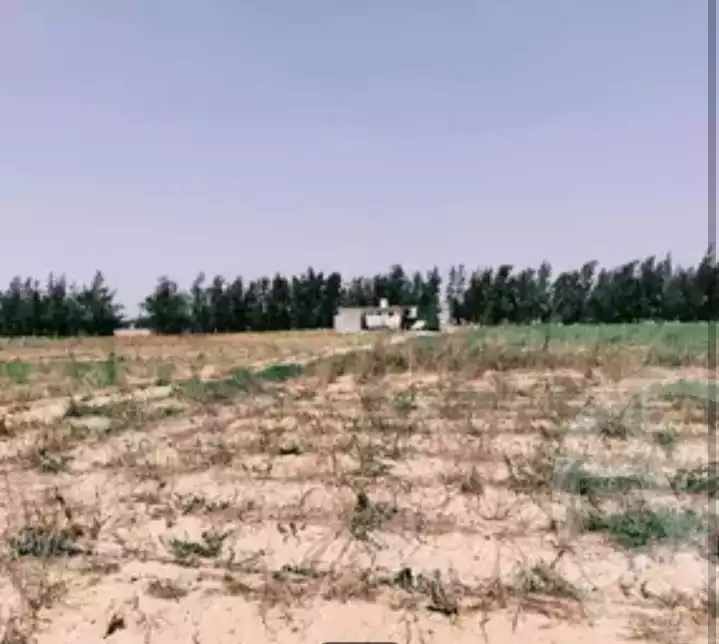 https://aqarmap.com.eg/ar/listing/6302077-for-sale-beheira-wadi-el-natrun