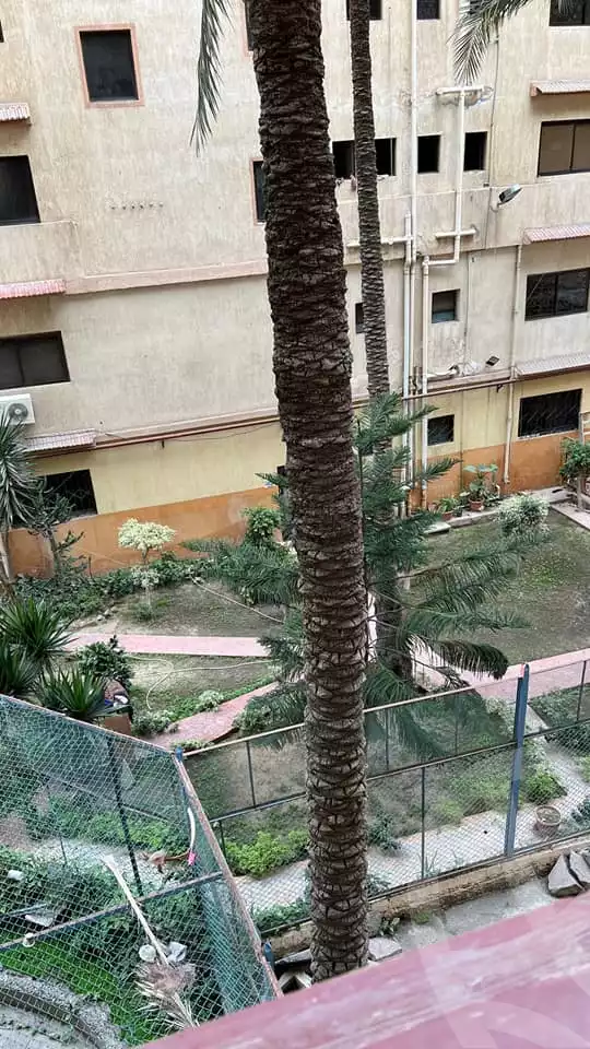 https://aqarmap.com.eg/en/listing/6303056-for-sale-alexandria-el-mandara