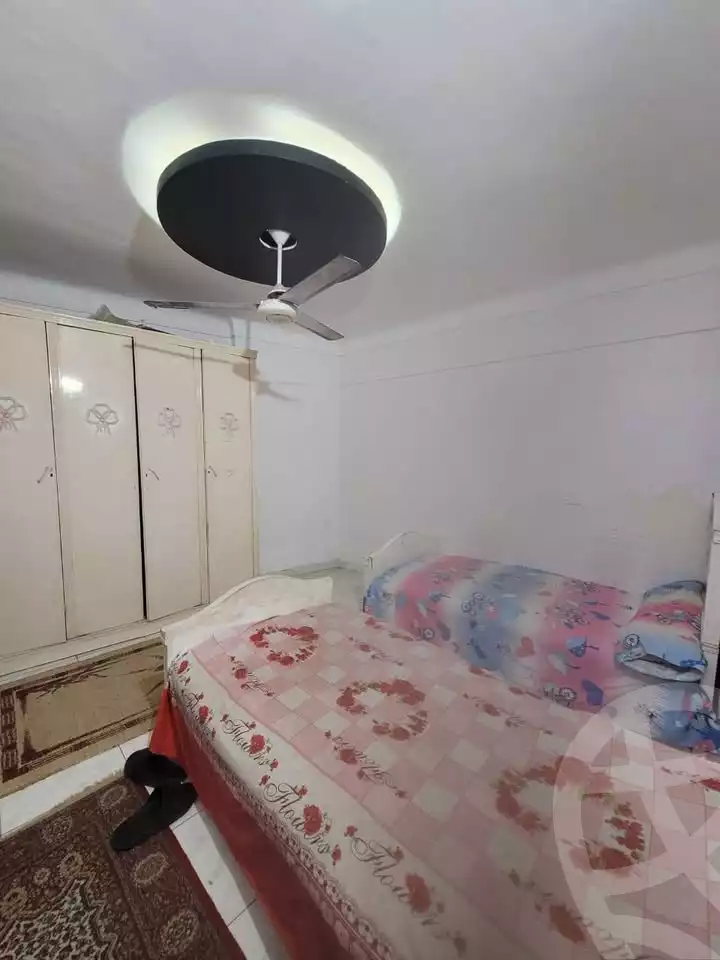 https://aqarmap.com.eg/en/listing/6303230-for-rent-alexandria-miami-el-zobeir-ibn-el-awam-st