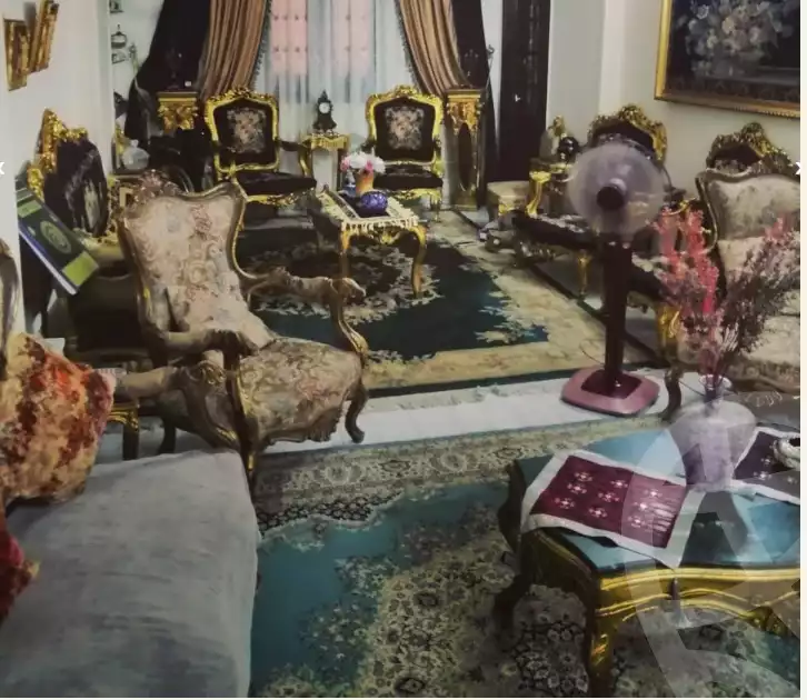 https://aqarmap.com.eg/ar/listing/6303280-for-sale-dakahlia-mansoura-el-mansoura-city-el-nakhla-st
