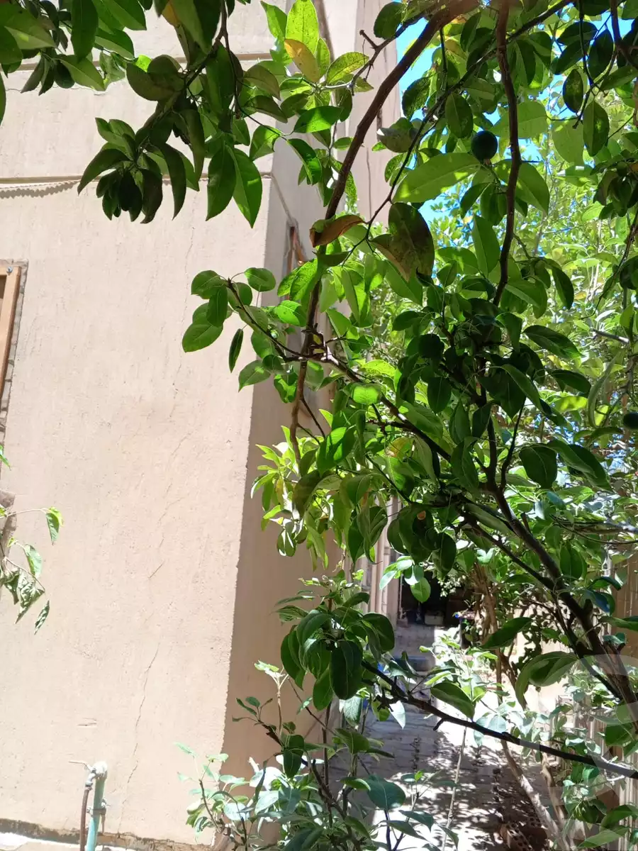 https://aqarmap.com.eg/ar/listing/6303422-for-sale-cairo-6th-of-october-hadaeq-october-kmbwnd-fy-hdyq-ktwbr-el-fardoos-city