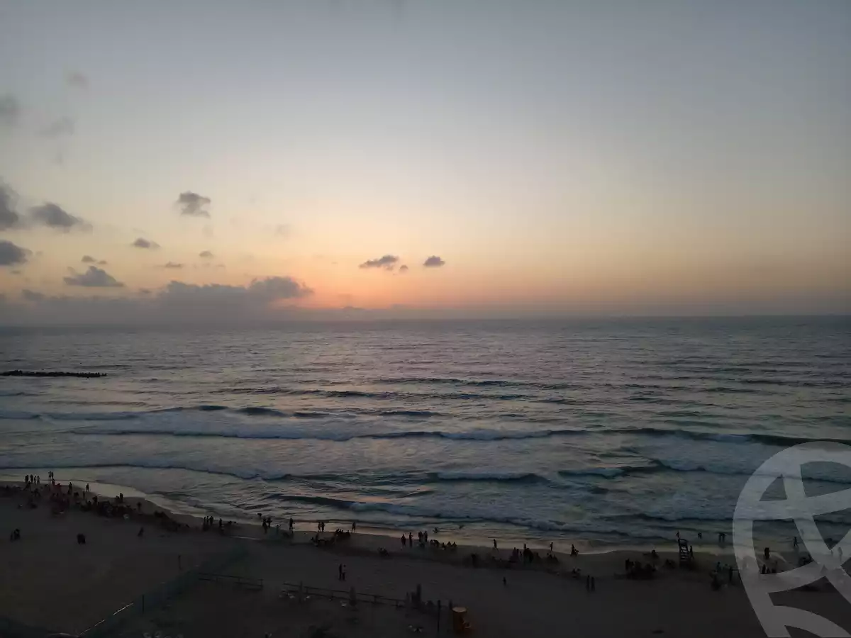 https://aqarmap.com.eg/en/listing/6313514-for-rent-alexandria-l-jmy-khair-allah-st