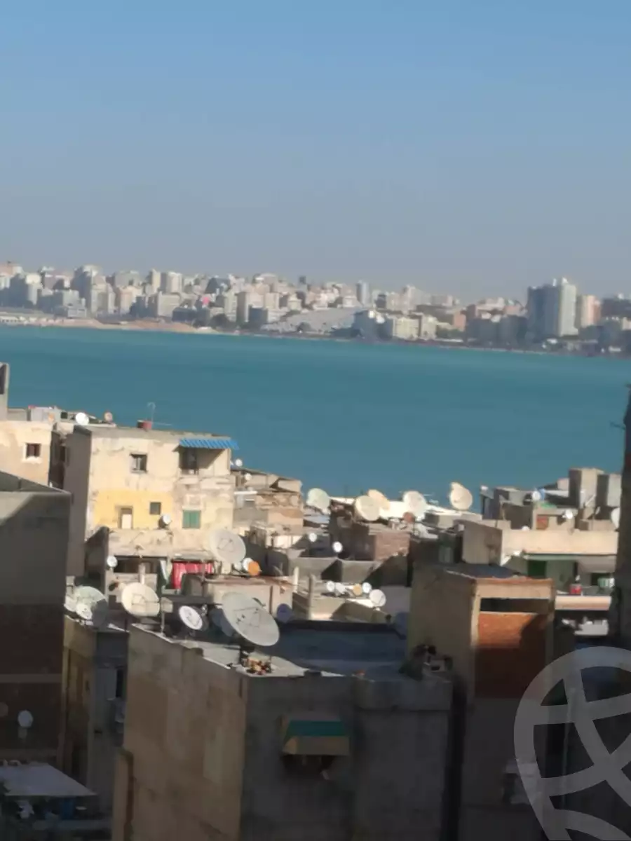 https://aqarmap.com.eg/en/listing/6313651-for-sale-alexandria-bahray-el-anfoshy-al-gomrok-al-kadem-st