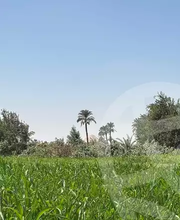 https://aqarmap.com.eg/ar/listing/6314867-for-sale-cairo-ljyz