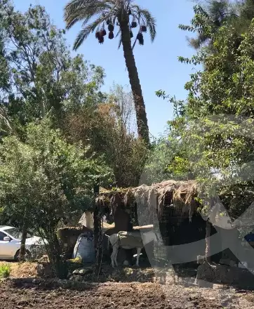 https://aqarmap.com.eg/ar/listing/6314867-for-sale-cairo-ljyz