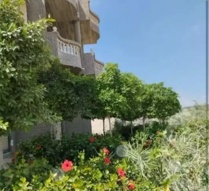https://aqarmap.com.eg/en/listing/6316505-for-sale-beheira-wadi-el-natrun