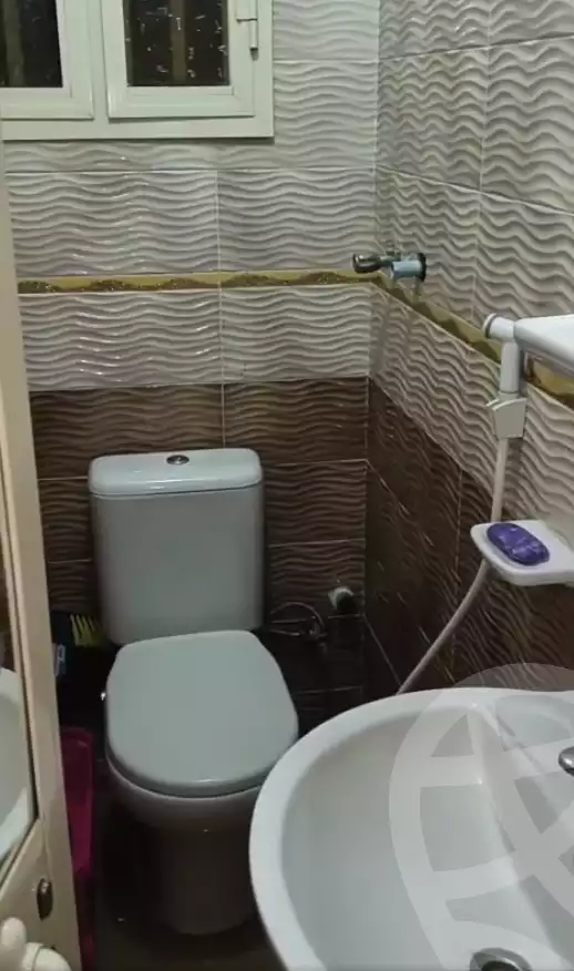 https://aqarmap.com.eg/en/listing/6316785-for-rent-cairo-el-zaytun-hlmy-lzytwn