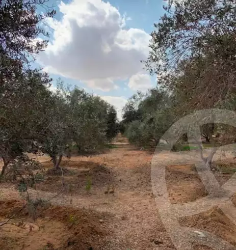 https://aqarmap.com.eg/en/listing/6322493-for-sale-ismailia-abu-sweer