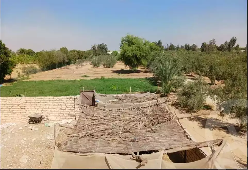 https://aqarmap.com.eg/en/listing/6327359-for-sale-suez-el-ganain-shandoura-village