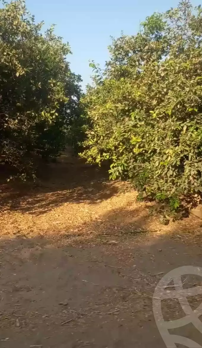 https://aqarmap.com.eg/en/listing/6328496-for-sale-beheira-wadi-el-natrun-bany-salama