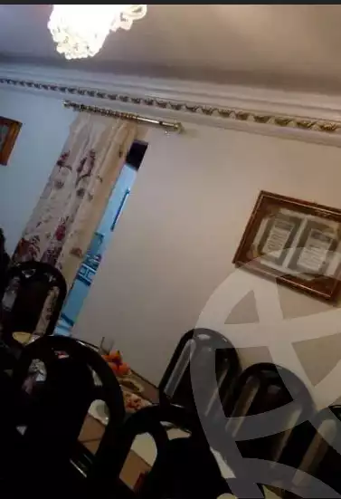 https://aqarmap.com.eg/en/listing/6335782-for-rent-alexandria-miami