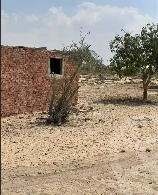 https://aqarmap.com.eg/ar/listing/6339392-for-sale-beheira-wadi-el-natrun